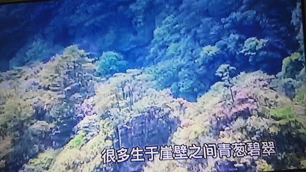 程阳永济桥 2