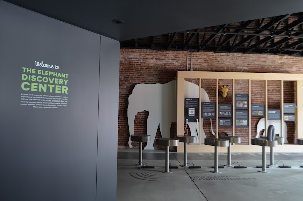 The Elephant Sanctuary in Tennessee — Elephant Discovery Center 1