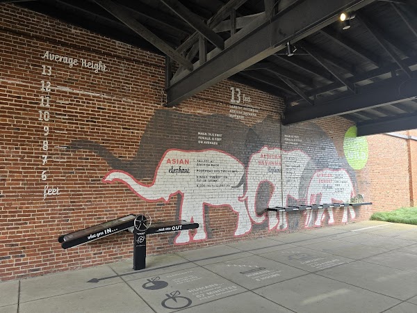 The Elephant Sanctuary in Tennessee — Elephant Discovery Center 3