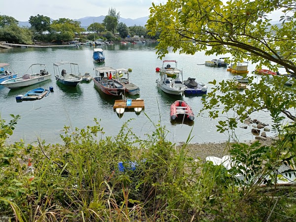Tai Mei Tuk Tsuen 3