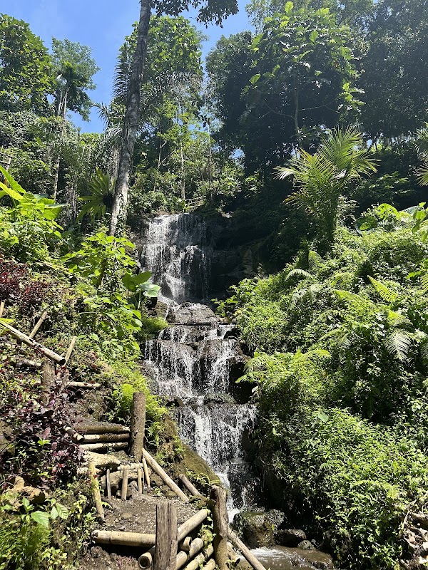 Ulu cangkir waterfall