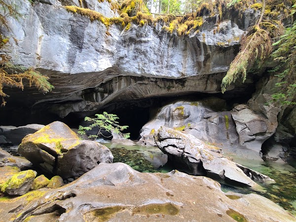 Vancouver island 8