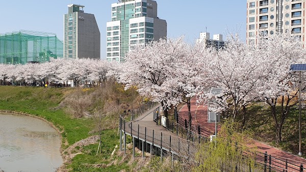 Seongnaecheon Stream 5