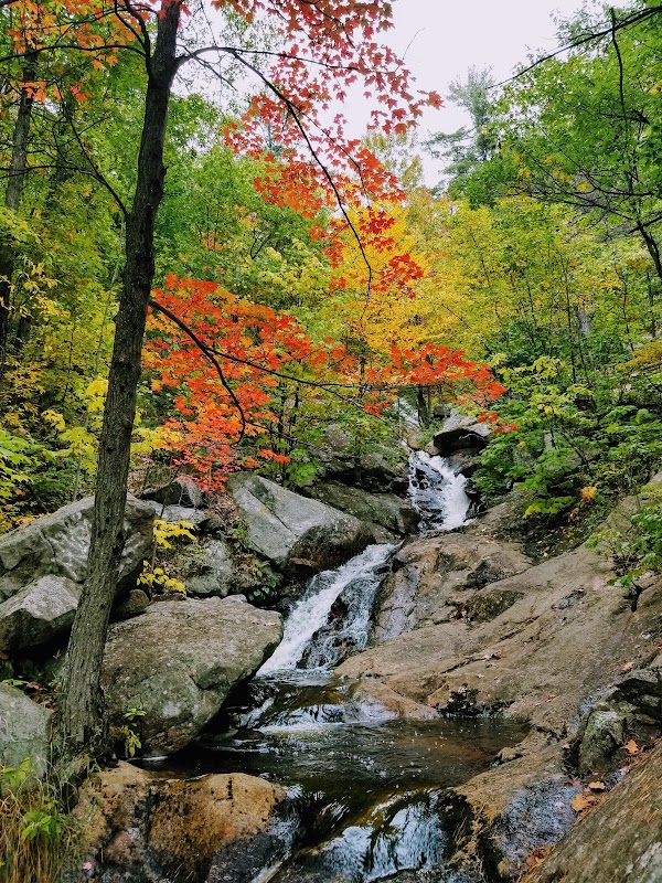 Luskville Falls Trail 1