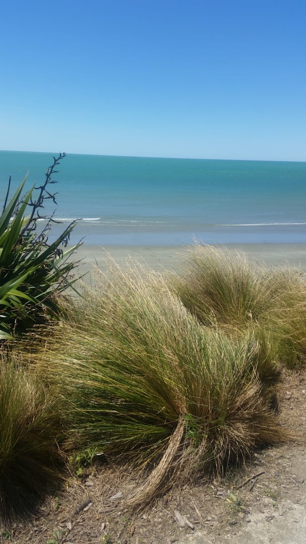 Caroline Bay 3