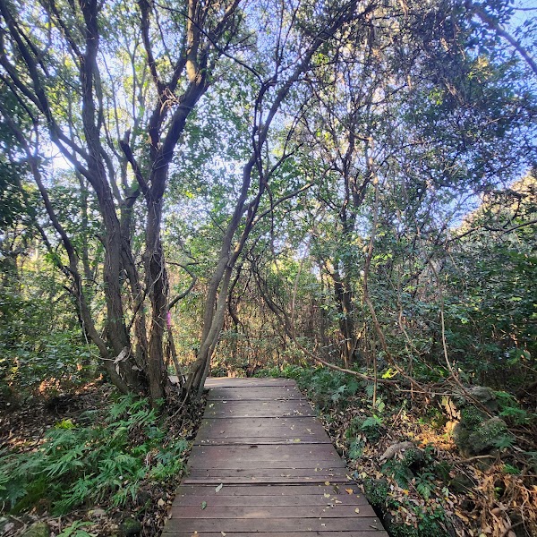 Jeju Gotjawal Provincial Park Visitor Center 1