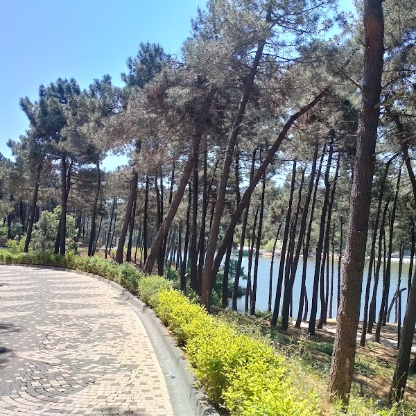 Aydos Millet Bahçesi 3