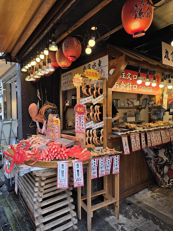 KAMAKURA PTJ