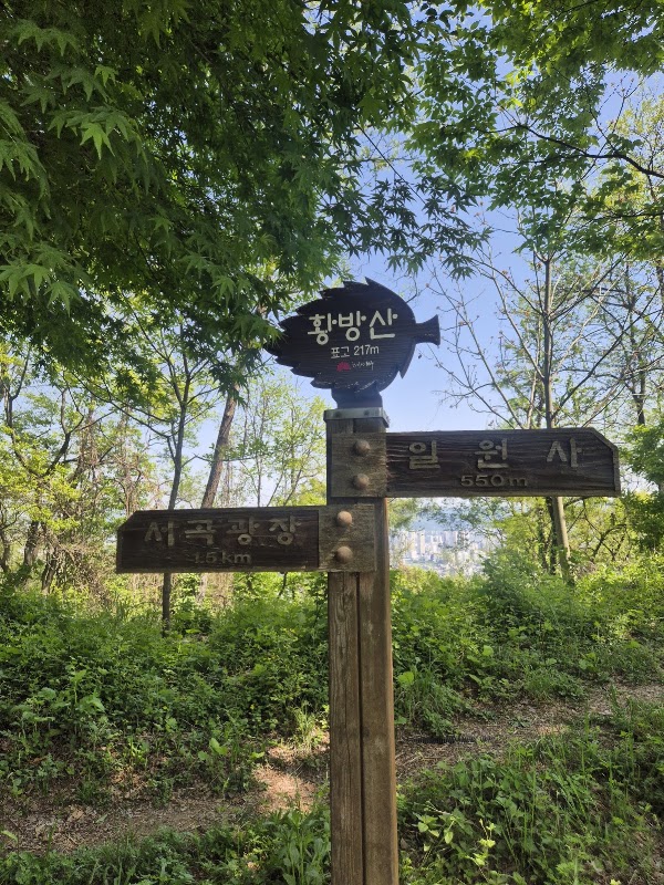 Hongsan Mountain 3
