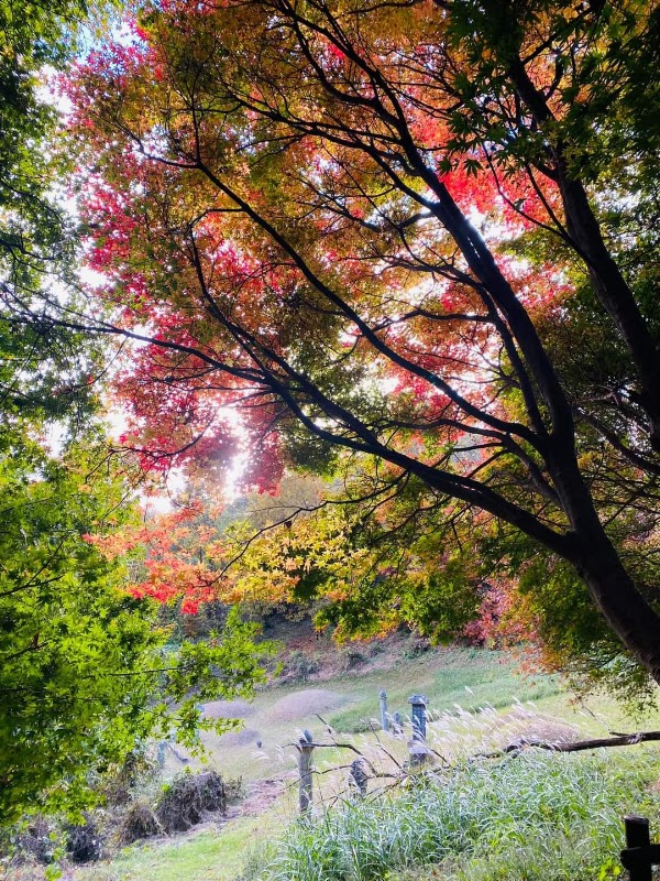Hongsan Mountain 2
