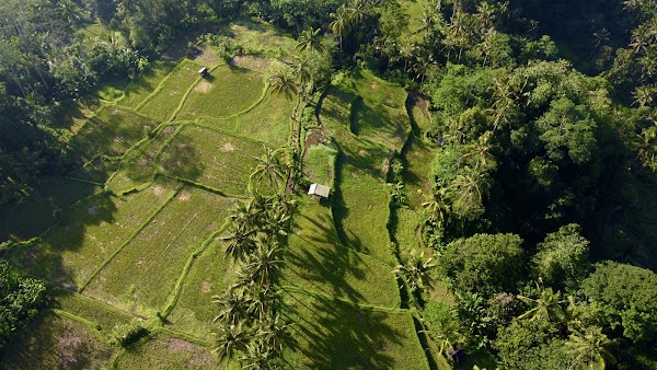Banjar mancingan Rice trekking 4
