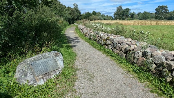 Oseberghaugen 3
