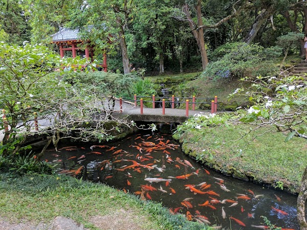 Byodo-In Temple 5