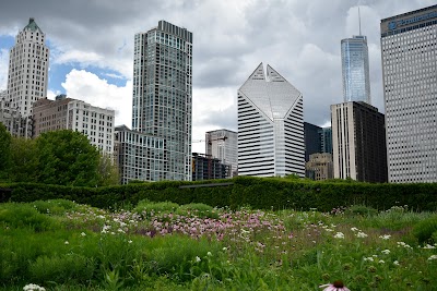 Lurie Garden 1