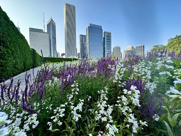 Lurie Garden 5