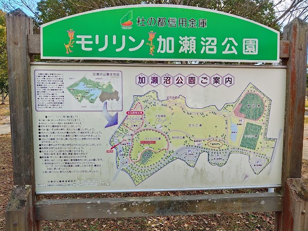 Kasenuma Park 1