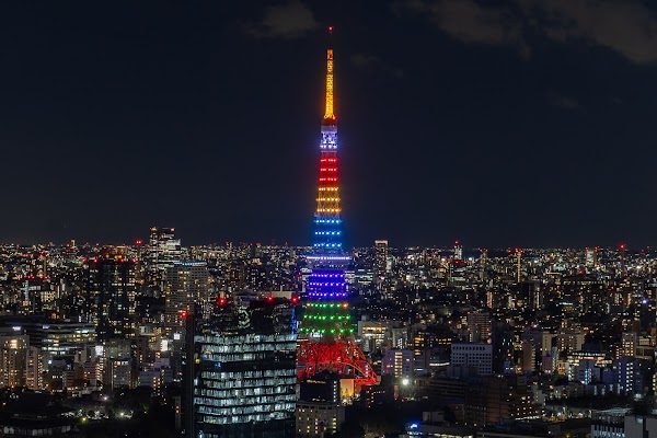 The Royal Park Hotel Tokyo Shiodome