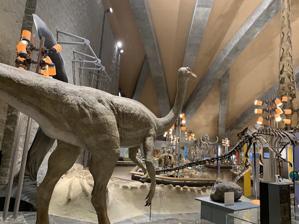 Gunma Museum of Natural History 1