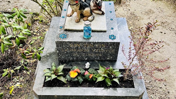 Cimetière des Chiens