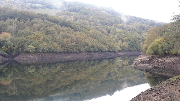Río Navea