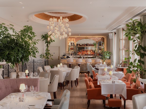 Amélie Restaurant