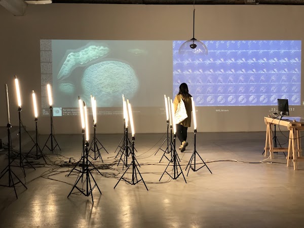 M50 Creative Space 2