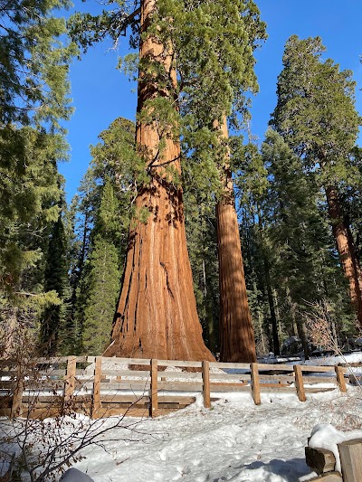 Sequoia National Park 2