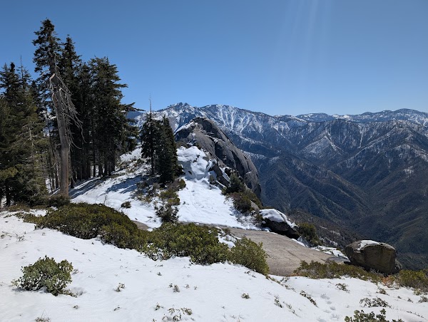 Sequoia National Park 4