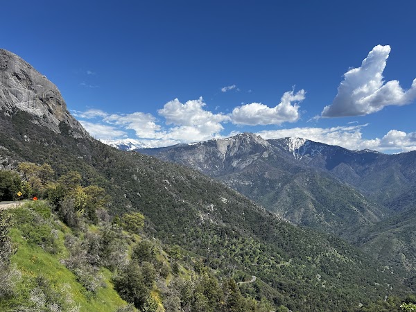 Sequoia National Park 3