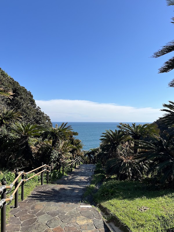 Cape Toi 2