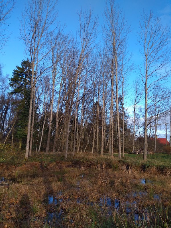 Balka 1