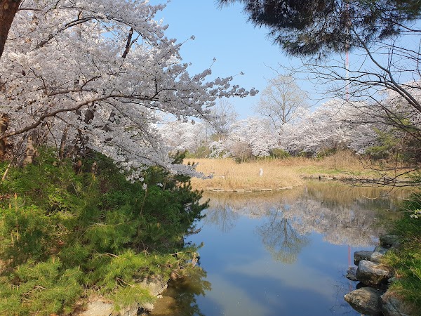 Gyeongpo Lake 2