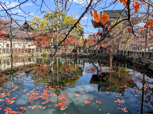 Wakayama 2