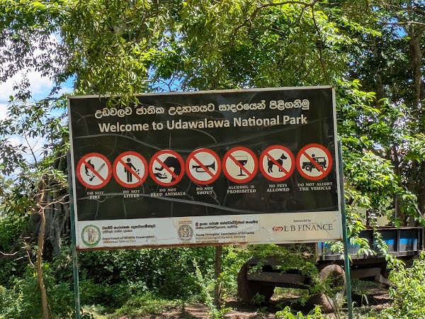 Udawalawe National Park 2