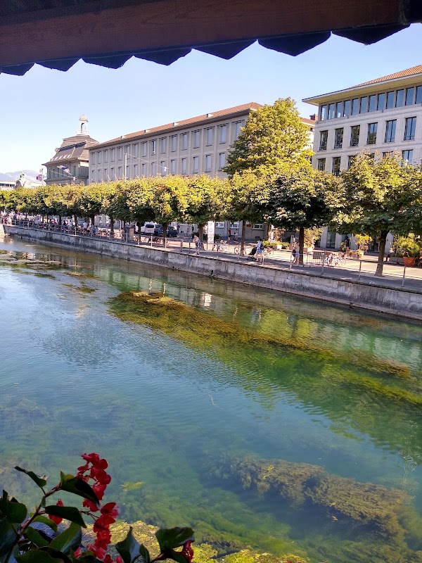 Lucerne 1