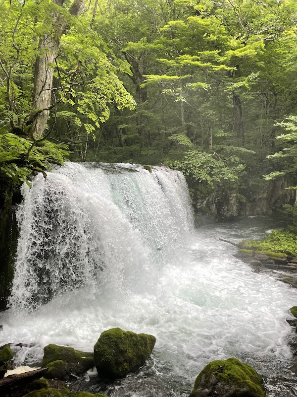 Oirase keiryū Gorge 4