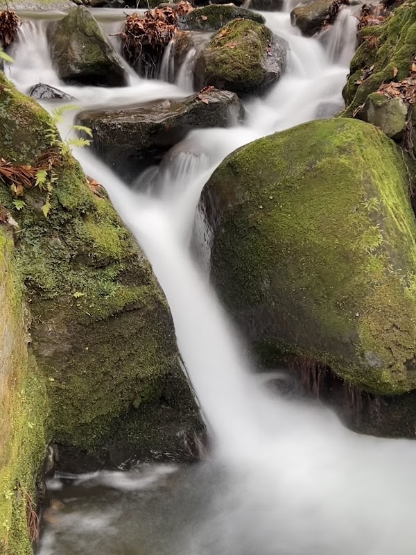Oirase keiryū Gorge 2