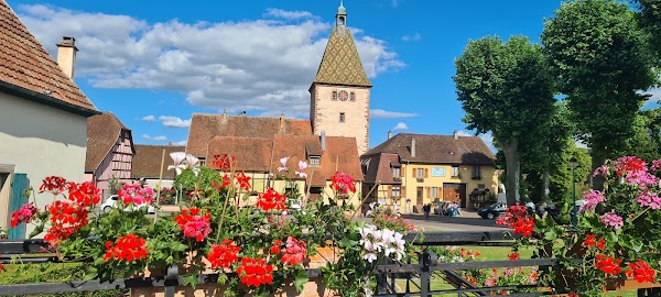 Bergheim 5