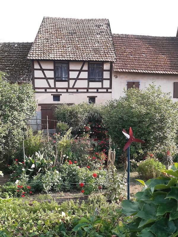 Bergheim 2