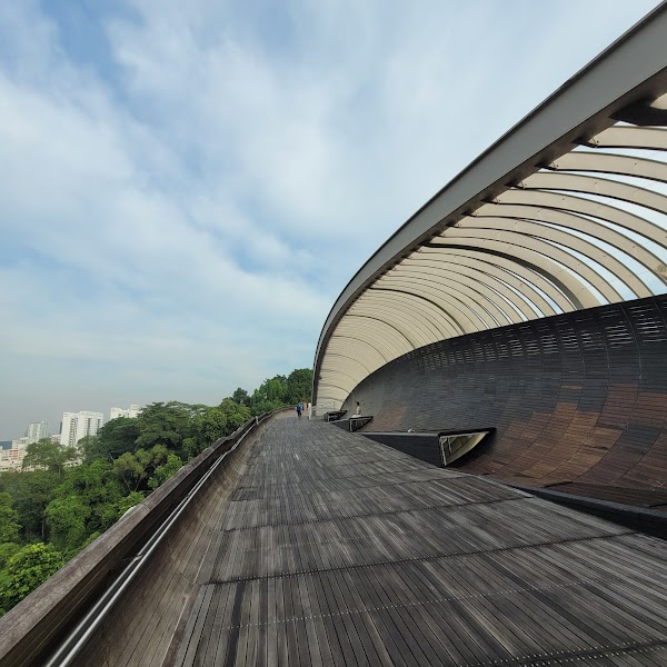 Henderson Waves 1