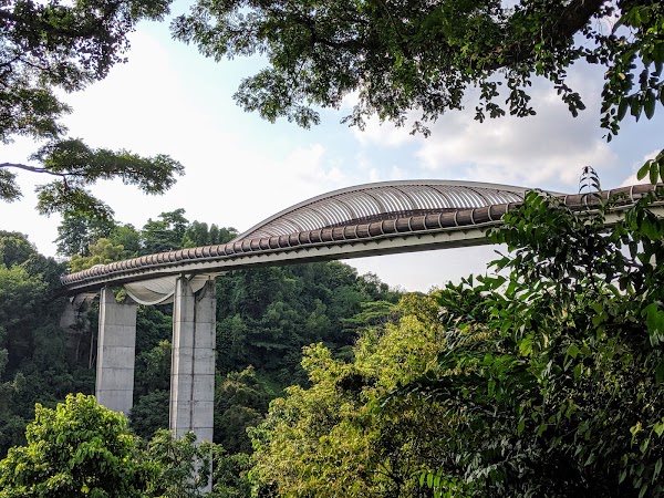 Henderson Waves 5