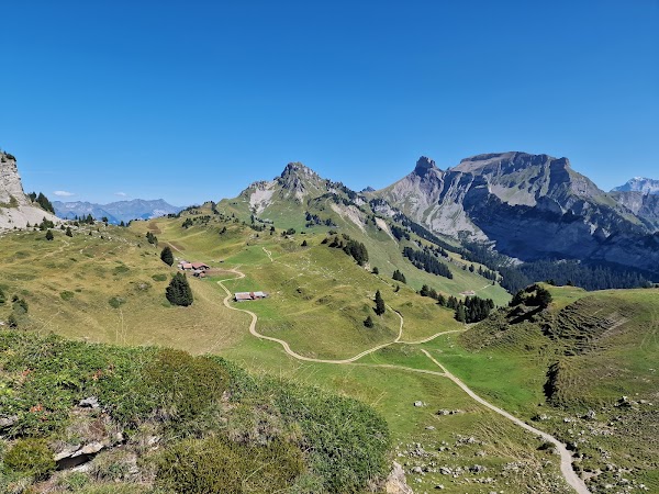 Schynige Platte 4