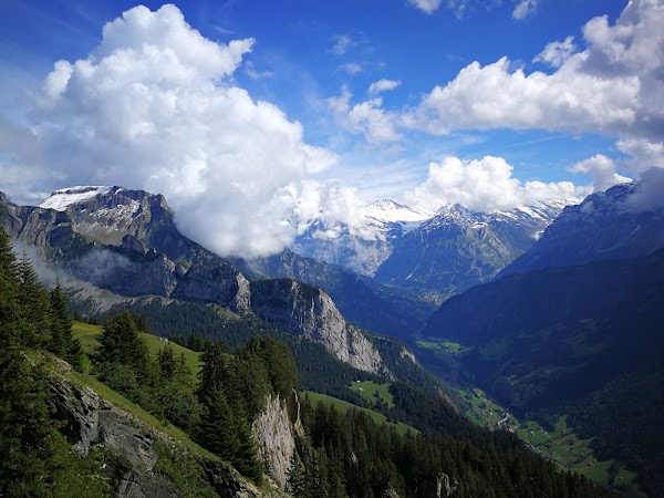 Schynige Platte 2