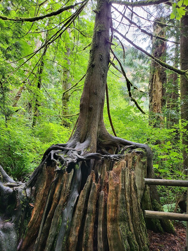 Goldstream Provincial Park 4
