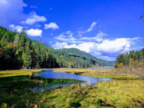 Goldstream Provincial Park 3
