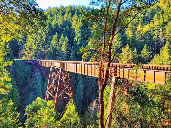 Goldstream Provincial Park 2