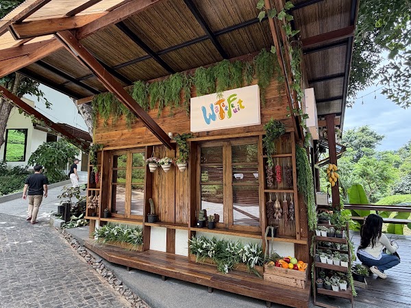WTF Coffee Camp 5