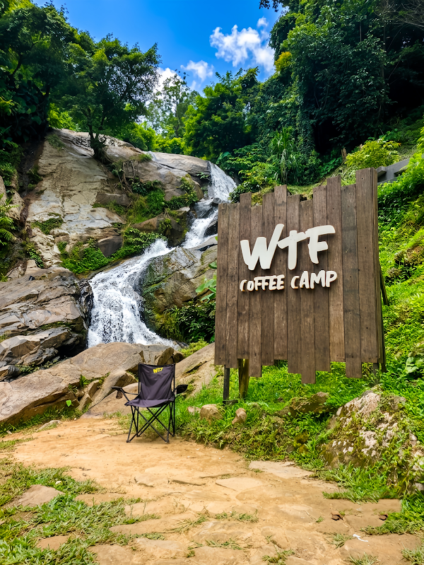 WTF Coffee Camp 3