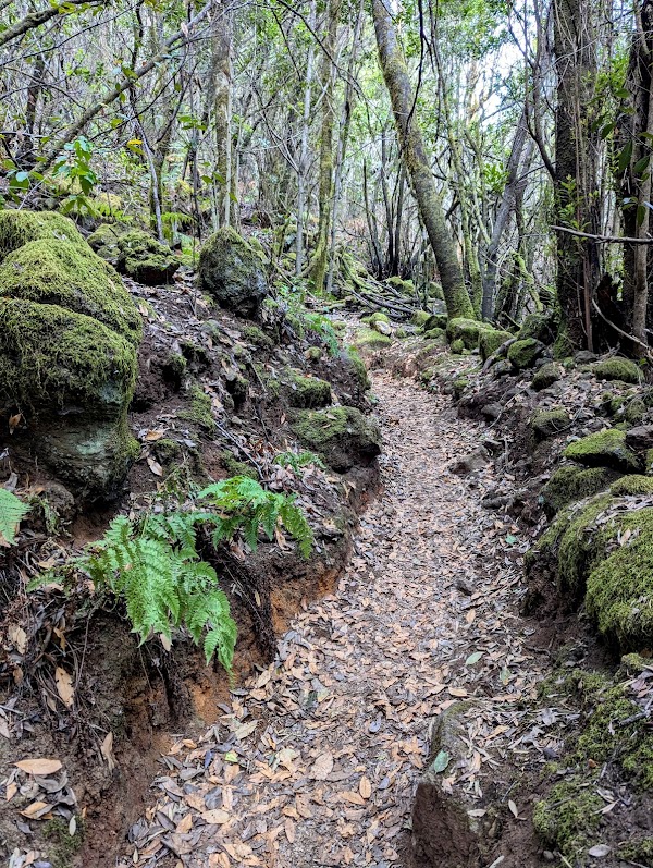Rural de Teno Park 4