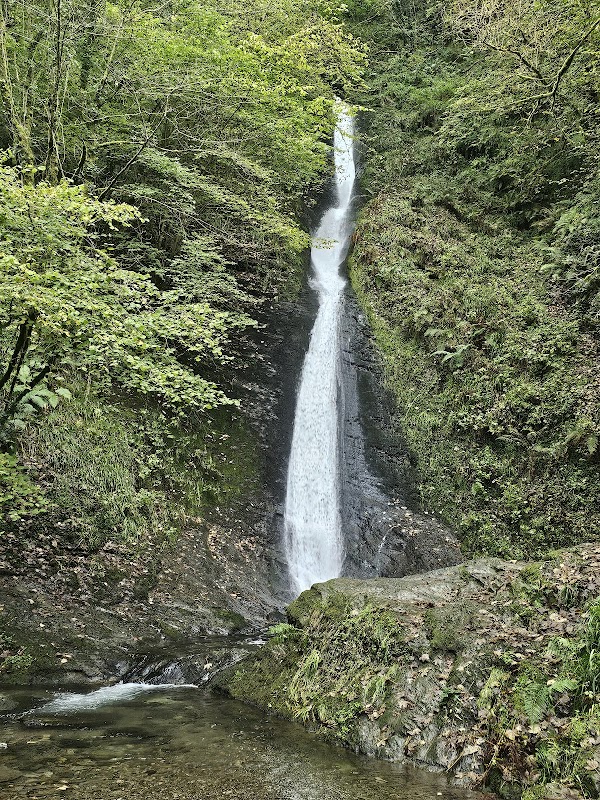 National Trust - Lydford Gorge 1